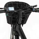 Electric Bike Youin BK2226B Black 250 W 26"-1