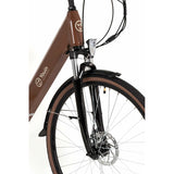 Electric Bike Youin YOURIDE VIENA Coffee 250 W 28"-5
