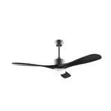 Ceiling Fan Cecotec-1