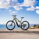 Electric Bike Cecotec Supreme 250 W 29"-12