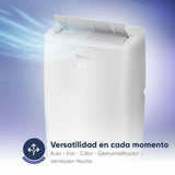 Air Conditioning Origial AirFeel 3000-3