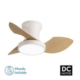 Ceiling Fan with Light Romimex White Natural-5