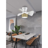 Ceiling Fan with Light Romimex White Natural-3