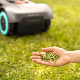 Lawn mowing robot Cecotec GrassHopper 500 Map Connected 50 W 500 M²-1