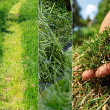 Battery Mower Cecotec E1 Liberty 20 V 32 cm 20-70 mm 30 L-1