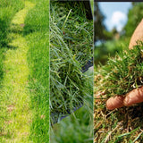 Battery Mower Cecotec E3 Liberty Z Plus 20 V 38 cm 20-70 mm 40 L 2 Pieces-6