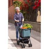 Shopping cart Carlett CUBE S PINE Green-4