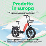 Electric Bike Youin BK1716 LUXOR II Coral 250 W-1