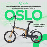 Electric Bike Youin BK1950 OSLO PRO Black Golden-7