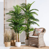 Decorative Plant Polyethylene Areca 189 cm-4