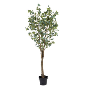 Decorative Plant 80 x 75 x 173 cm Green PVC Eucalyptus-0