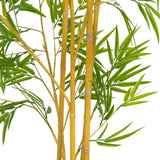 Decorative Plant Polyethylene Bamboo 90 x 86 x 220 cm-2