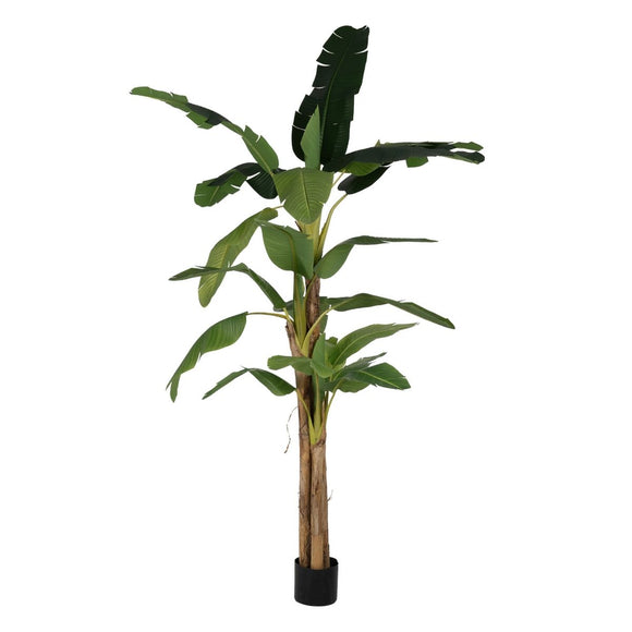 Decorative Plant Rubber Banana plant 120 x 120 x 280 cm-0