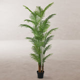 Decorative Plant Polyurethane Cement Areca 210 cm-1