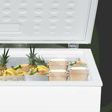 Freezer Aspes ACH2002EDC-4