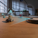 Robot Vacuum Cleaner Cecotec X70-3