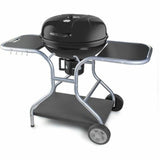 Barbecue Portable Fieldmann FZG 1014 Metal Steel-0