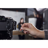 SDXC Memory Card Kingston SDR2V6/256GB 256 GB-1