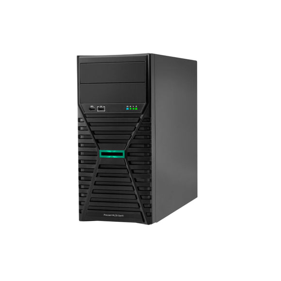 Server HPE ML30 GEN11 16 GB RAM-0