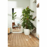 Set of pots Elho White Plastic Circular 2 Pieces-9