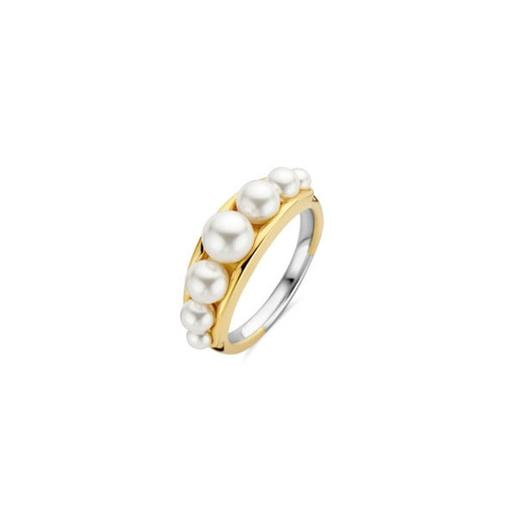 Ladies' Ring Ti Sento 12232PW/56 16-0