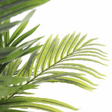 Decorative Plant Mica Decorations Palm tree 80 x 160 cm-2