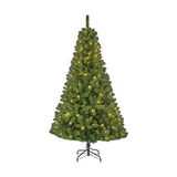 Christmas Tree Black Box (185 x 115 cm)-0