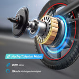 Electric Bike DYU DYU-D3S-001 Black 250 W 10 Ah 14"-7