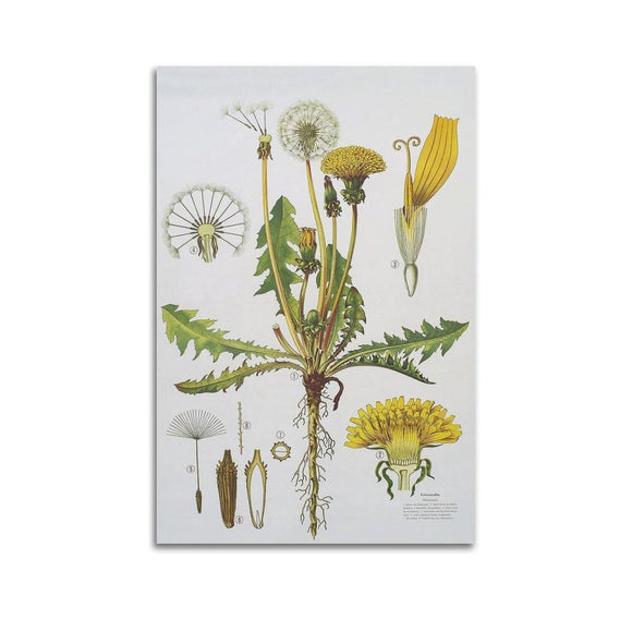 Samsung LS27FG812SUXEN-0