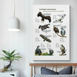 Smartphone Samsung Galaxy A36 5G 6,7" 6 GB RAM 128 GB White Lavendar-7