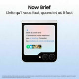 Smartphone Samsung Galaxy Z Flip7 FE 6,7" 8 GB RAM 128 GB Black-5