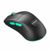 Wireless Mouse Cherry-13