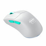 Wireless Mouse Cherry-16
