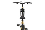 King 29 Inch 46 cm Unisex 21SP Rim Brakes Gold-3