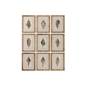 Painting Home ESPRIT Mediterranean Snail 30 x 2,5 x 40 cm (9Units)-0