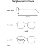 Men's Sunglasses Rodenstock  R1425-2