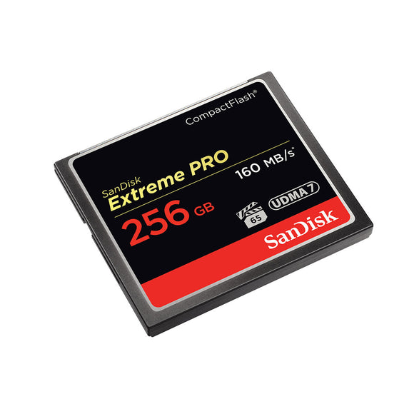Micro SD Memory Card with Adaptor SanDisk SDCFXPS-256G-X46 256 GB-0