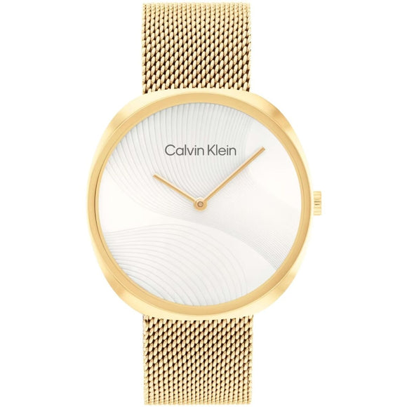 Men's Watch Calvin Klein 1685215-0