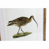 Painting DKD Home Decor S3017831 Birds (55 x 2,5 x 70 cm) (4 Units)-1