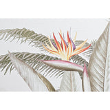 Set of 3 pictures DKD Home Decor Tropical (180 x 4 x 120 cm)-2