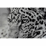 Painting DKD Home Decor Leopard Colonial (100 x 2,5 x 100 cm) (2 Units)-3