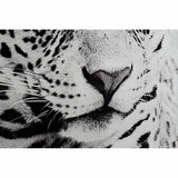 Painting DKD Home Decor Leopard Colonial (100 x 2,5 x 100 cm) (2 Units)-2