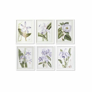 Painting DKD Home Decor 40 x 2 x 54 cm Flowers Shabby Chic (6 Pieces)