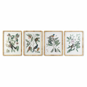 Painting DKD Home Decor 50 x 2,5 x 65 cm Shabby Chic Botanical plants (4 Pieces)