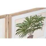 Painting DKD Home Decor 65 x 2 x 50 cm Palms Tropical (4 Pieces)