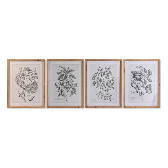 Painting DKD Home Decor Fir Crystal 50 x 65 x 2 cm 50 x 2 x 65 cm Botanical plants (4 Pieces)-0