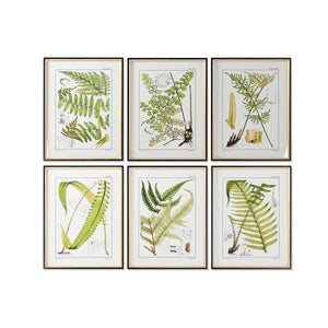 Painting Home ESPRIT Modern Fern 50 x 2,5 x 65 cm (6 Units)-0