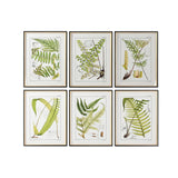 Painting Home ESPRIT Modern Fern 50 x 2,5 x 65 cm (6 Units)-0