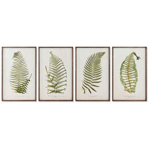 Painting Home ESPRIT Fern Cottage 45 x 2,5 x 70 cm (4 Units)-0